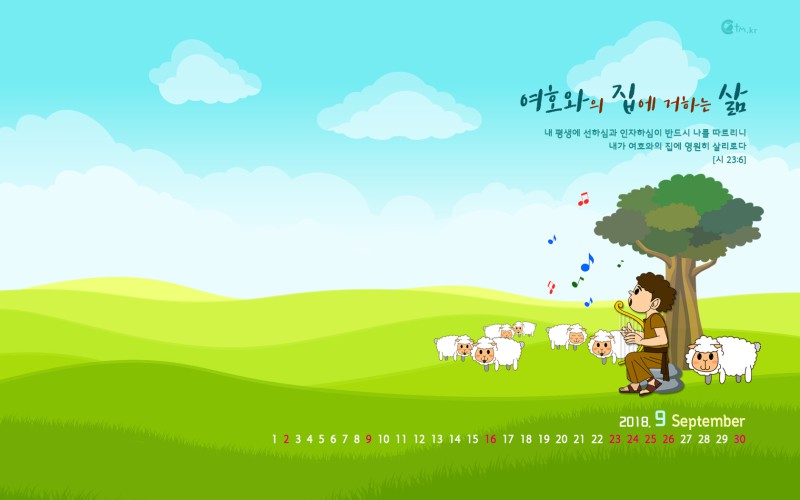 1680*1050 wide
