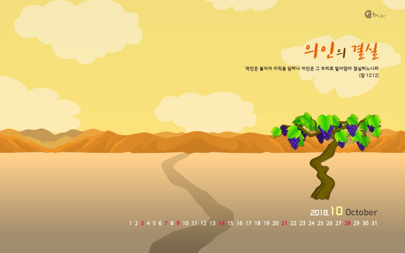 1680*1050 wide