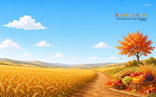 1280-800 wide