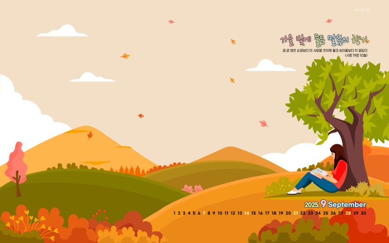 1680*1050 wide
