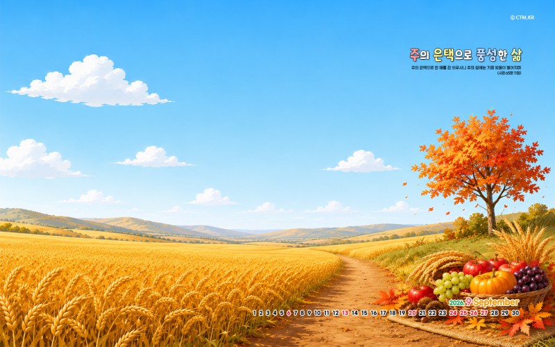 1280-800 wide