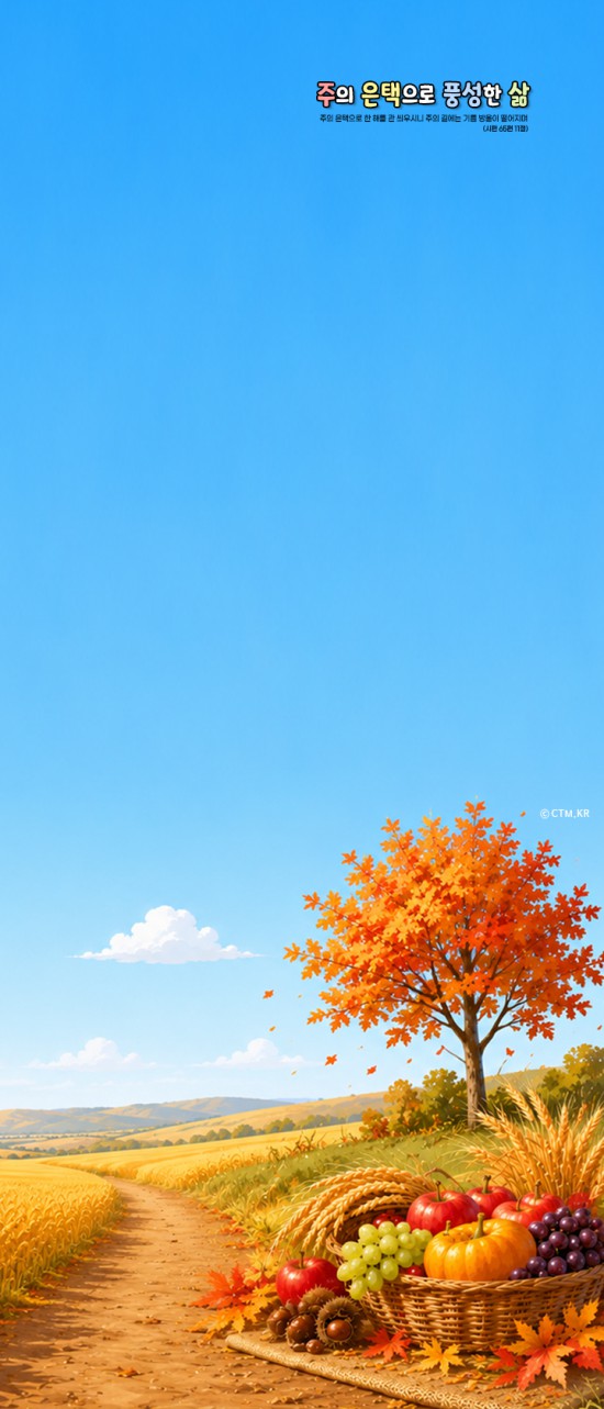 갤럭시 폴드_접었을 때(2316*904)